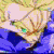 aim_15.gif