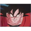 goku4.gif