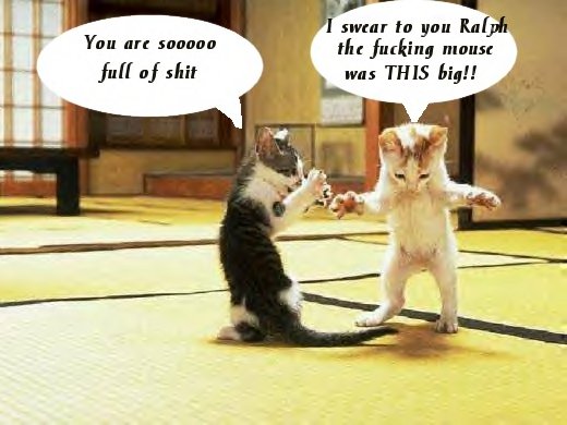 kittymousestory.jpg
