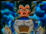 vejitacharge.gif